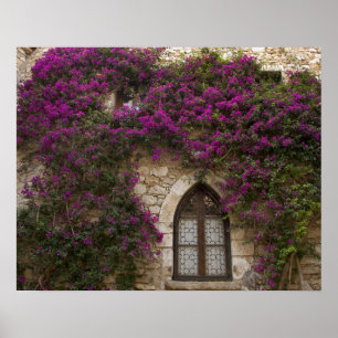 France, Provence, Eze. Bright pink Poster