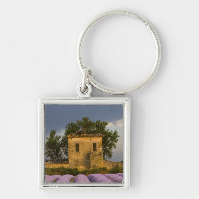 France, Provence. Field of lavender and Key Ring (Front)