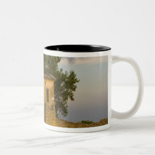 France, Provence. Field of lavender and Two-Tone Coffee Mug