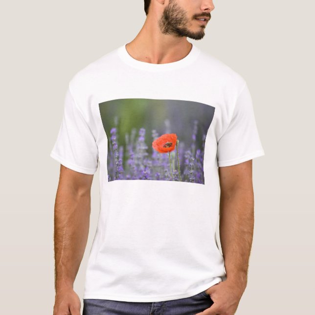 France, Provence. Lone poppy in field of T-Shirt (Front)