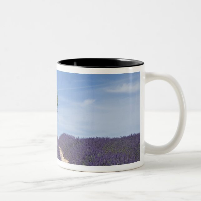 France, Provence. Rows of lavender in bloom. 4 Two-Tone Coffee Mug (Right)