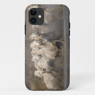 France, Provence. White Camargue horses running iPhone 11 Case