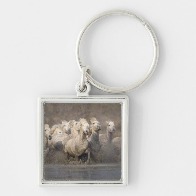 France, Provence. White Camargue horses running Key Ring (Front)