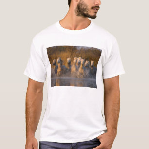 France, Provence. White Camargue horses T-Shirt