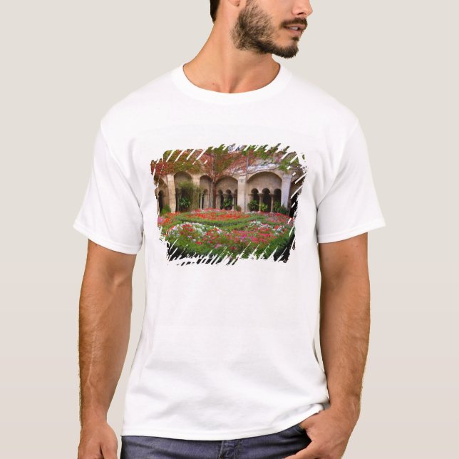 France, St. Remy de Provence, cloisters at 2 T-Shirt (Front)