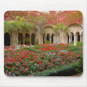 France, St. Remy de Provence, cloisters at 3 Mouse Mat
