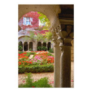 France, St. Remy de Provence, cloisters at 3 Photo Print