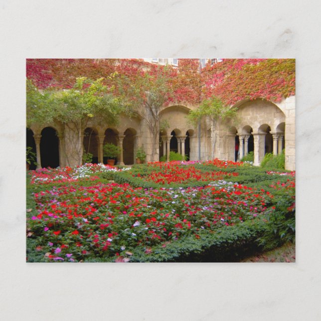 France, St. Remy de Provence, cloisters at 3 Postcard (Front)