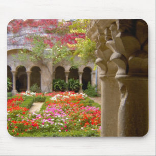 France, St. Remy de Provence, cloisters at Mouse Mat