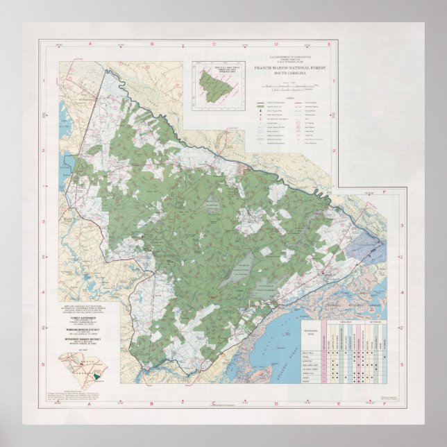 Francis Marion National Forest Map (1981)  Poster (Front)