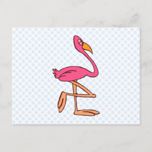 Francisco Flamingo Postcard