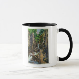 Franconia Notch State Park 2 Mug