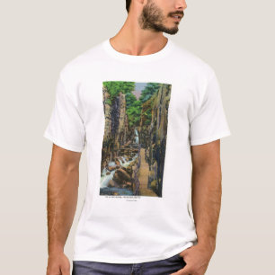 Franconia Notch State Park T-Shirt