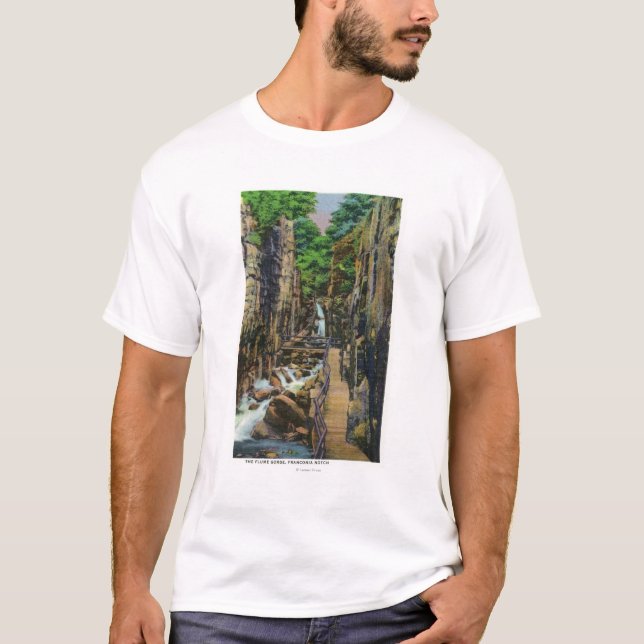 Franconia Notch State Park T-Shirt (Front)
