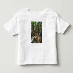 Franconia Notch State Park Toddler T-Shirt