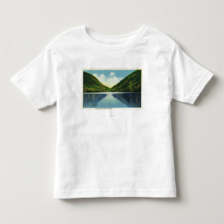 Franconia Notch State Park View of Profile Lake Toddler T-Shirt