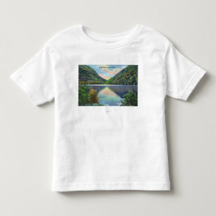 Franconia Notch View of Profile Lake Toddler T-Shirt