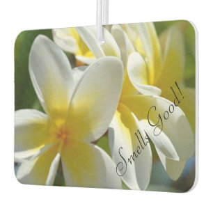 Frangapani Smells Good Air Freshener