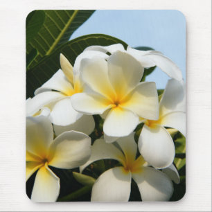 Frangipani Bliss Mouse Mat