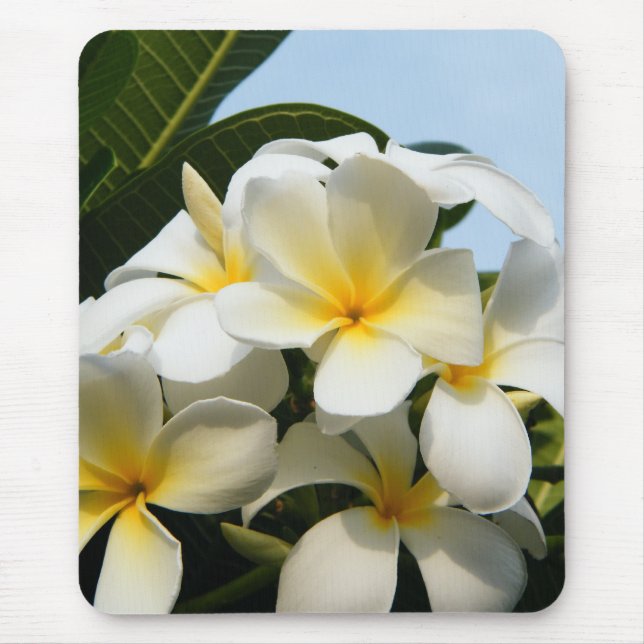 Frangipani Bliss Mouse Mat (Front)