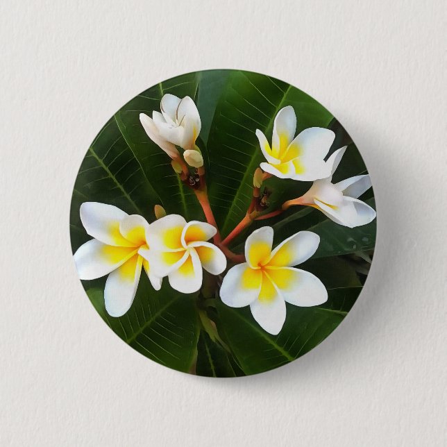 Frangipani Blossom Cluster 6 Cm Round Badge (Front)