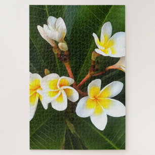 Frangipani Blossom Cluster Artistic Style Jigsaw Puzzle