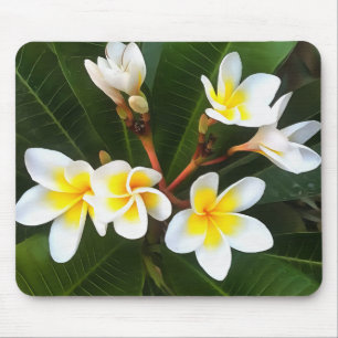 Frangipani Blossom Cluster Artistic Style Mouse Mat