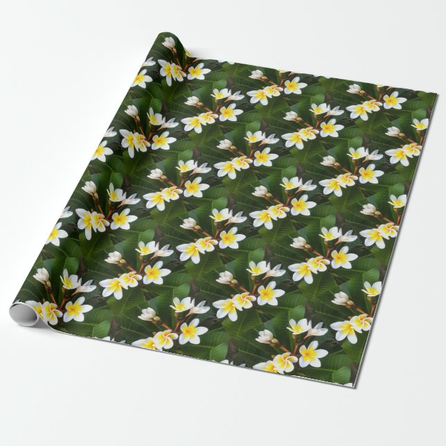 Frangipani Blossom Cluster Artistic Style Wrapping Paper (Unrolled)