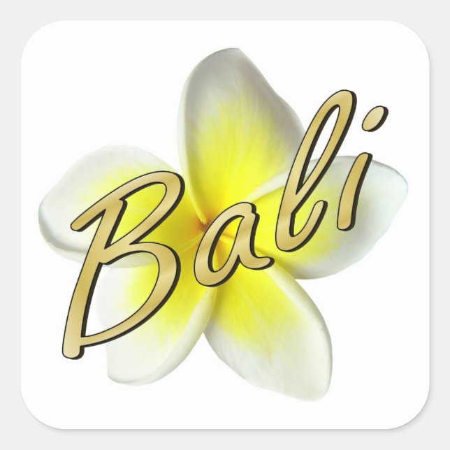 Frangipani Blossom Square Sticker (Front)