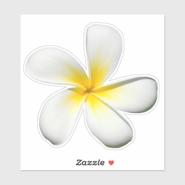 Frangipani Blossom Sticker (Sheet)