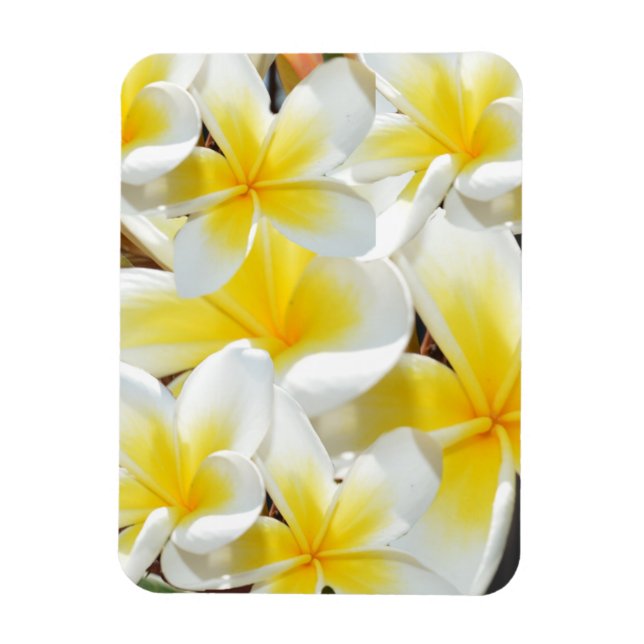 Frangipani Bouquet, Flexible Magnet (Vertical)