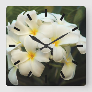 Frangipani bouquet flowers square wall clock