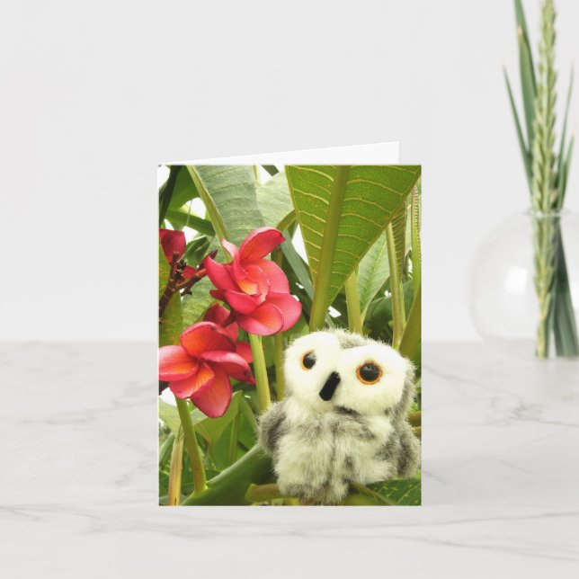 Frangipani Card (Front)