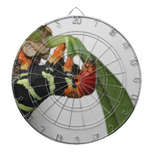 Frangipani Caterpillar Dart Board