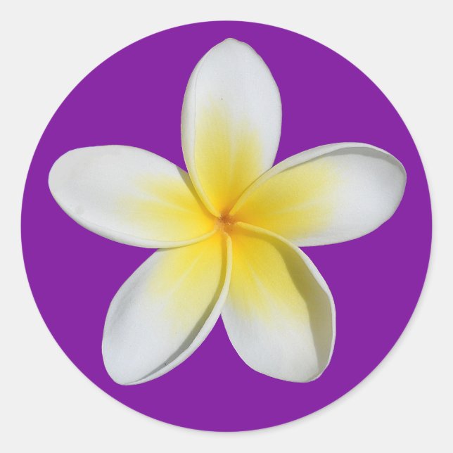 Frangipani Classic Round Sticker (Front)