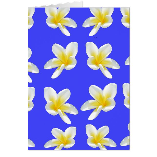 Frangipani_Essece_Of_Simmer (Front)
