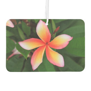 Frangipani flower car air freshener