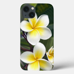 Frangipani flower Cook Islands iPhone 13 Case