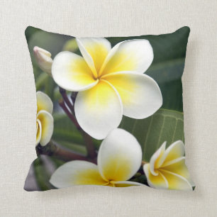 Frangipani flower Cook Islands Cushion