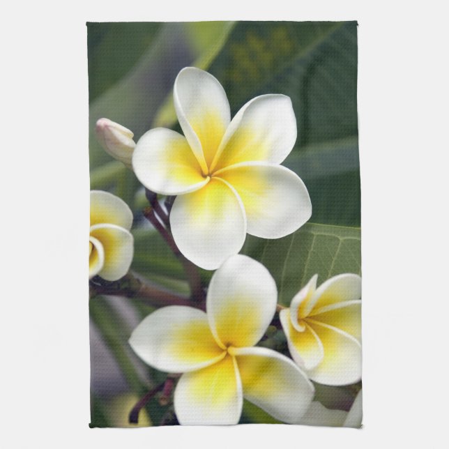 Frangipani flower Cook Islands Tea Towel (Vertical)