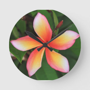 Frangipani flower round clock