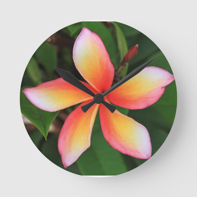 Frangipani flower round clock (Front)