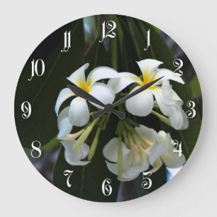 Frangipani flowers large clock