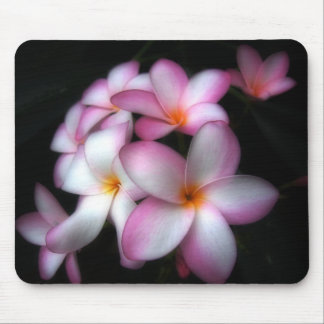 Frangipani in bloom mouse mat