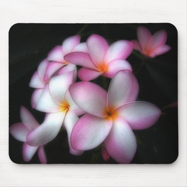 Frangipani in bloom mouse mat (Front)