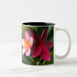 Frangipani Mug: Darwin Sunset & Hilo Beauty Two-Tone Coffee Mug