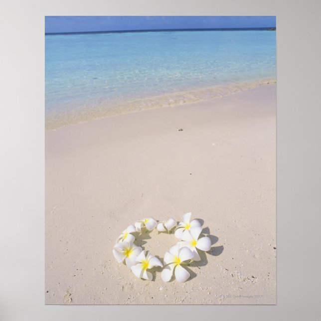 Frangipani on the beach poster (Front)