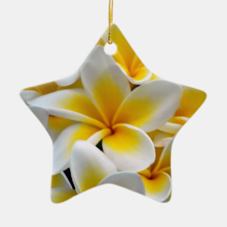Frangipani Plumeria Flower Photo Ceramic Tree Decoration
