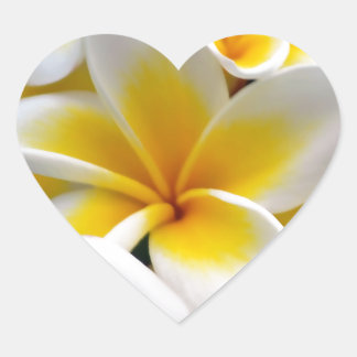 Frangipani Plumeria Flower Photo Heart Sticker