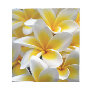 Frangipani Plumeria Flower Photo Notepad